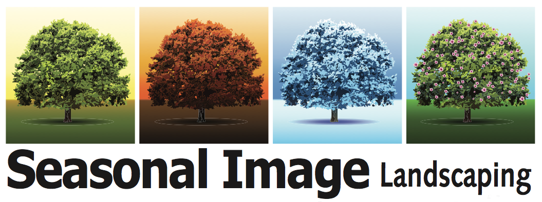 Seasonal Image 